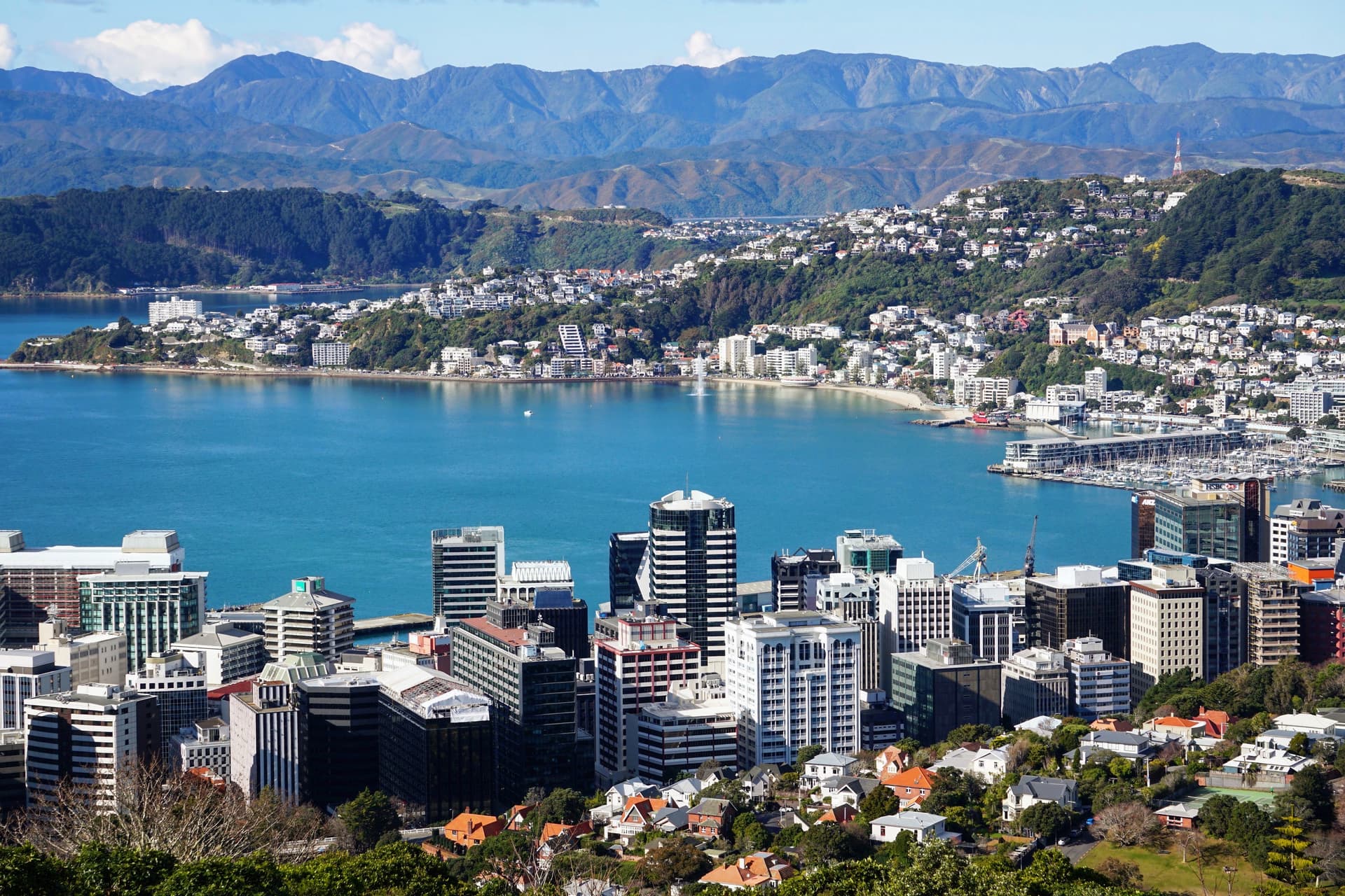 Benefits of studying in New Zealand
